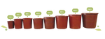 Bote con Tapa Uso Rudo